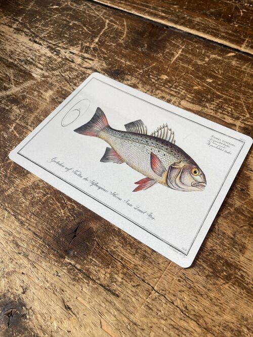 Bass fish - Metal Vintage Wall Sign 6x8inch