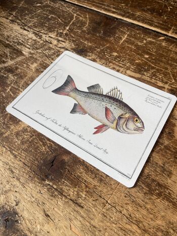 Bass fish - Plaque murale vintage en métal 6x8inch