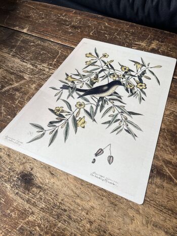 Bird Branch Botanical - Panneau mural botanique en métal 15,2 x 20,3 cm 1