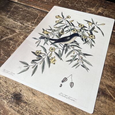 Bird Branch Botanical – Botanisches Wandschild aus Metall, 20,3 x 25,4 cm