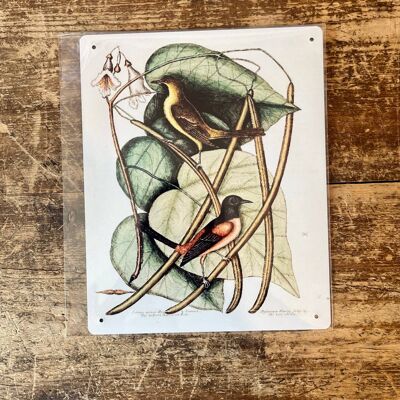 Vogelzweig botanische Blätter – botanisches Wandschild aus Metall, 27,9 x 40,6 cm