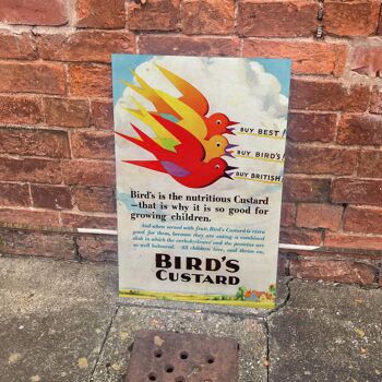 Birds Custard acheter le meilleur – Panneau publicitaire en métal 15,2 x 20,3 cm