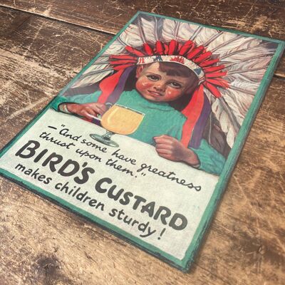 Birds Custard Makes Children Sturdy Metal Sign 6x8inch