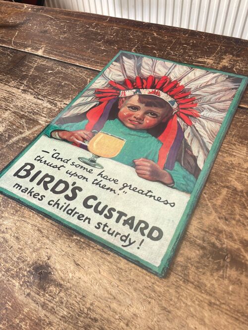 Birds Custard Makes Children Sturdy Metal Sign 8x10inch