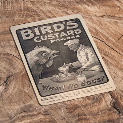 Birds Custard Powder What No Eggs Letrero de metal 6x8 pulgadas