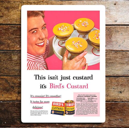 Birds Custard This Isn't Just Custard Metal Sign 11x16inch