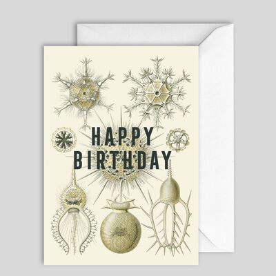 Greeting Card 7526