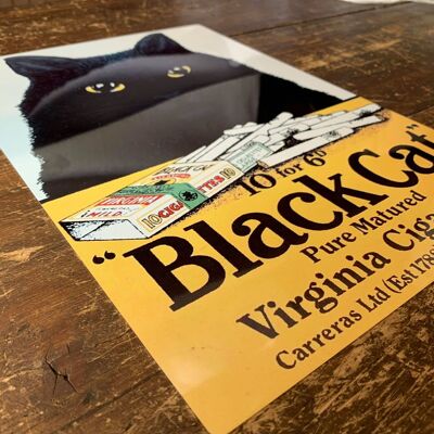 Cartel de pared de publicidad de metal de gato negro 8x10 pulgadas