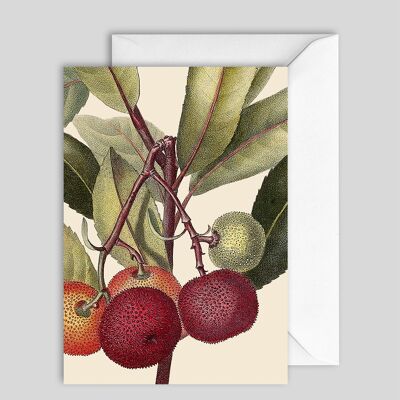 Greeting Card 7549