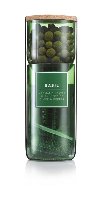 Kit Basil Hydro Herb 1