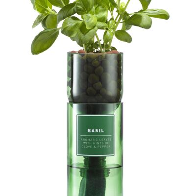 Kit Basilico Hydro Herb