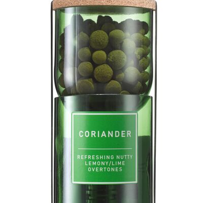 Coriander Hydro Herb kit