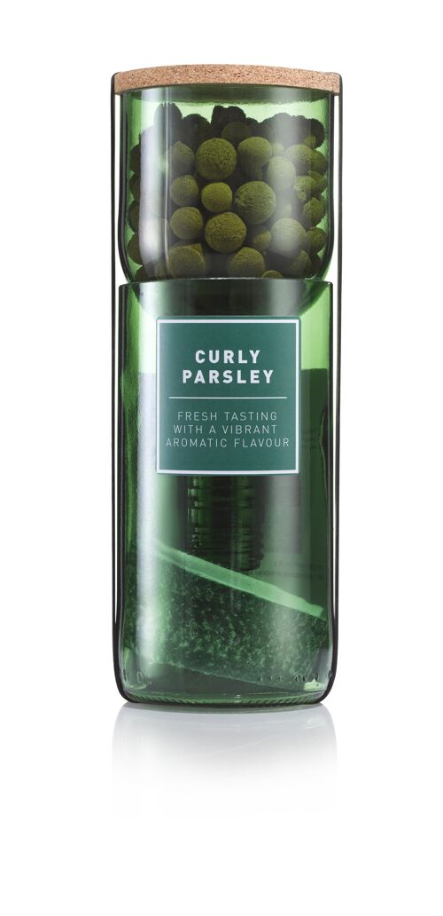 Curly Parsley Hydro Herb kit