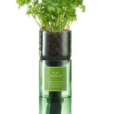 Kit Flat Perejil Hydro Herb