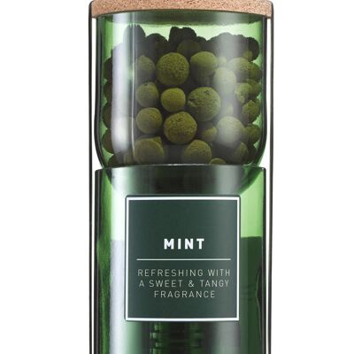 Kit de plantes aromatiques Mint Hydro