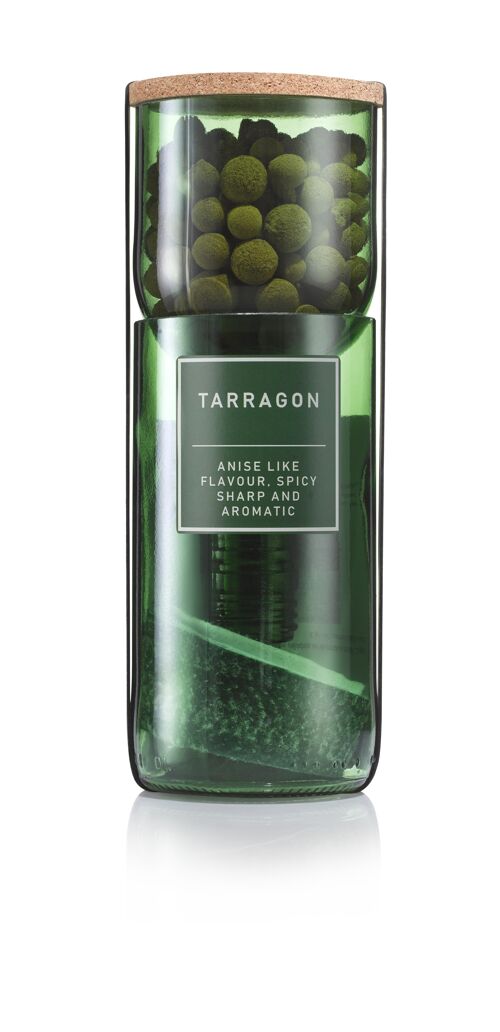 Tarragon Hydro Herb kit