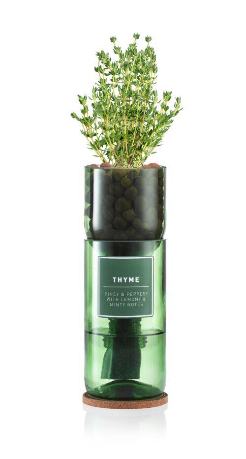 Thyme Hydro Herb kit