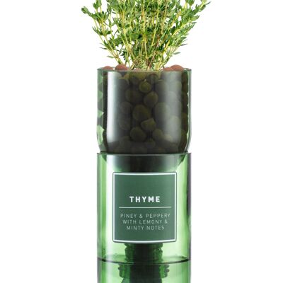 Kit de tomillo Hydro Herb