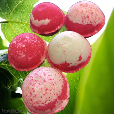 Mini BubbleBombs - Candy Cane - Allergen FREE