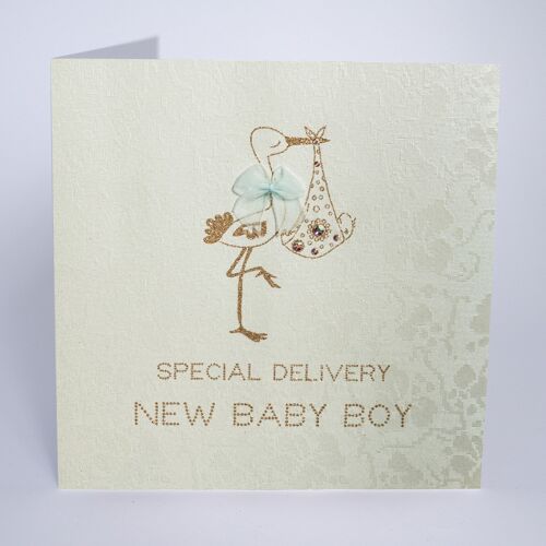 Special Delivery….New Baby Boy