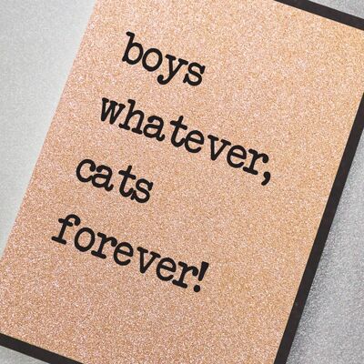 ¡Chicos lo que sea, gatos para siempre!