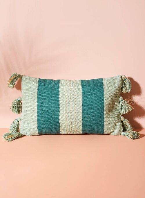 COUSSIN LEONARDO AGUA ET DORÉ