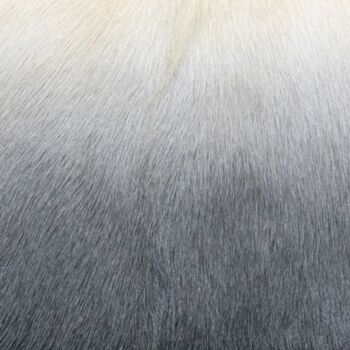 Coussin en peau de chèvre ivoire/anthracite 2