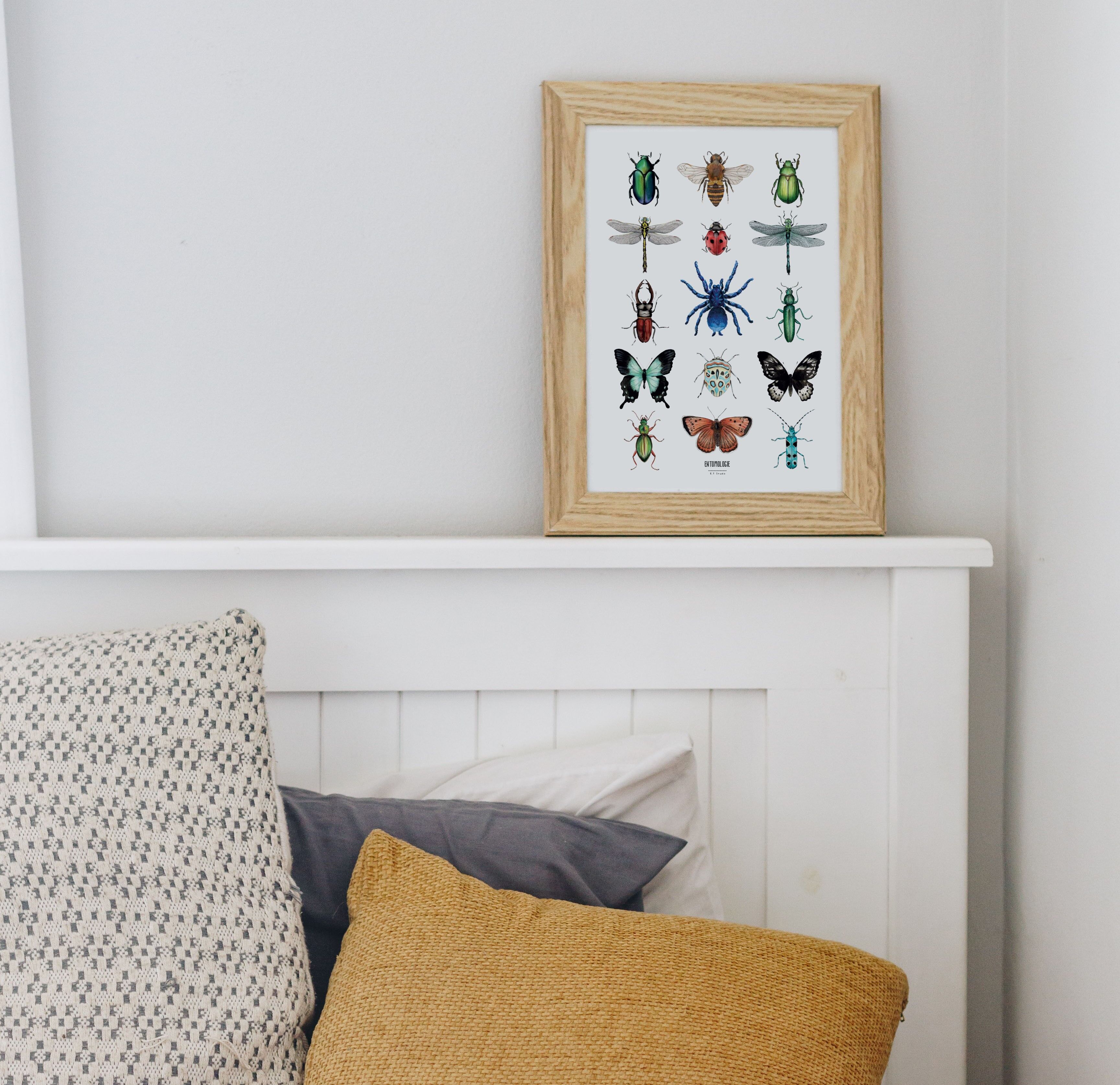 Póster de papel acuarela 21x29,7 cm - Insectos