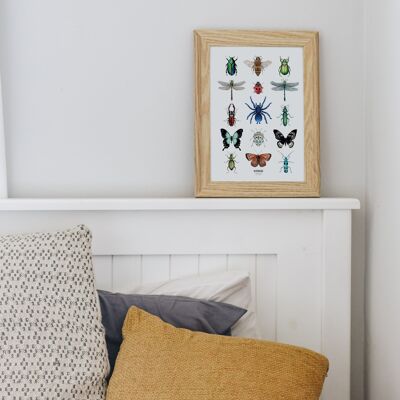 Watercolor paper poster 21x29.7 cm - Insects