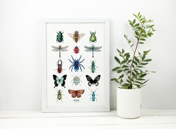 Affiche papier aquarelle 21x29,7 cm - Insectes 2