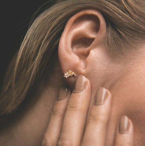 Celeste Star Cluster Stud Earrings