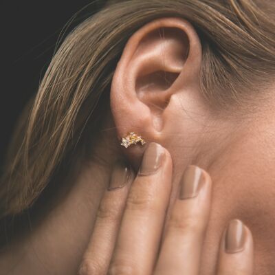 Celeste Star Cluster Stud Earrings