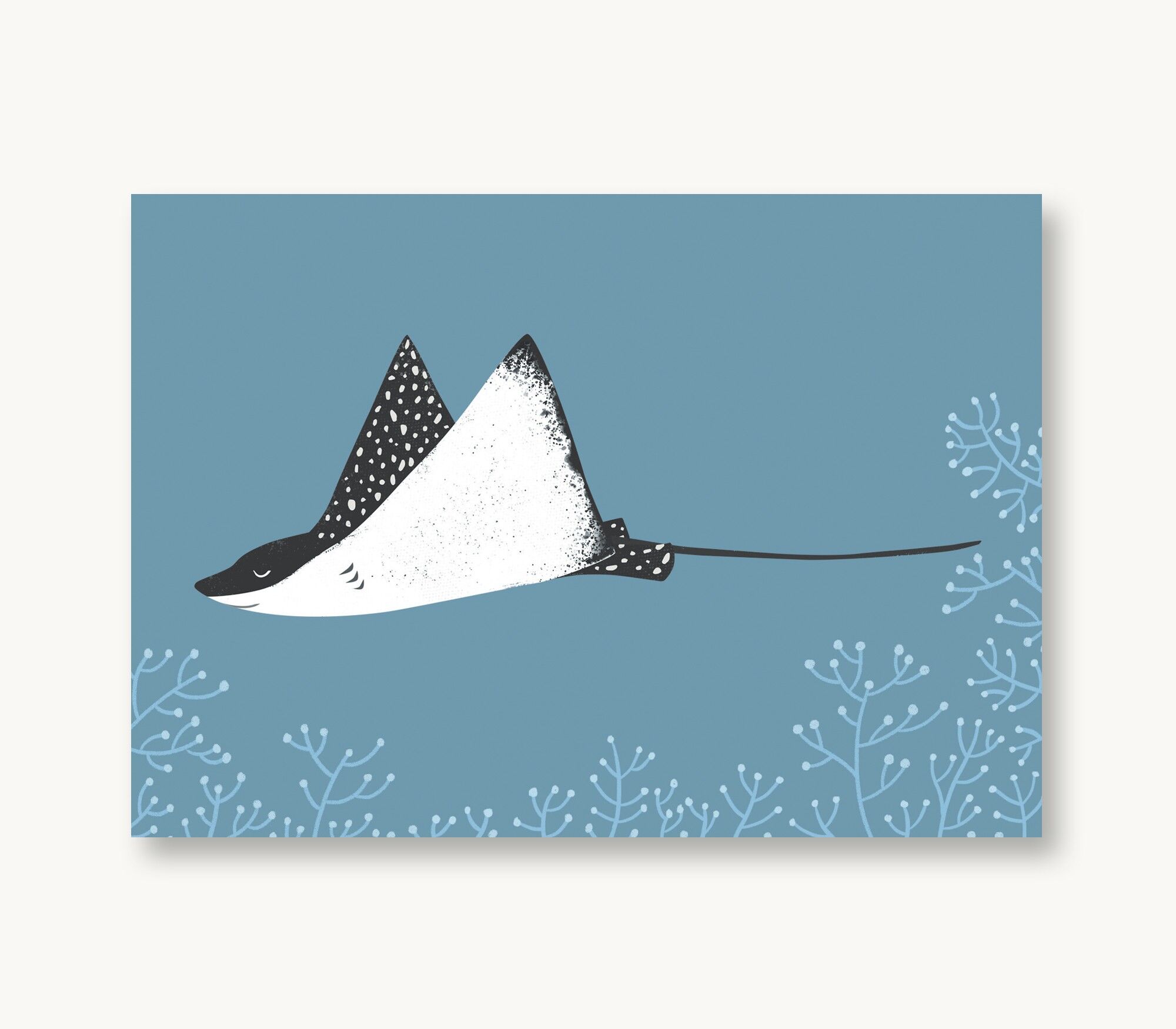 Postkarte Rochen, Adlerrochen