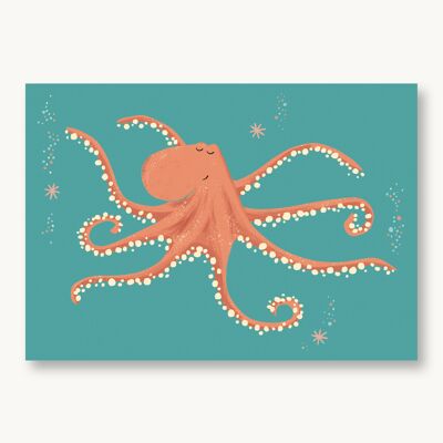 Postcard octopus, octopus