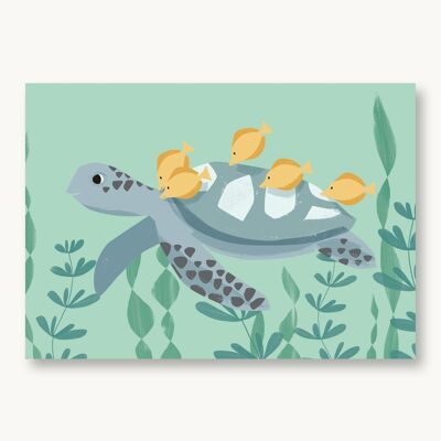 Carte postale tortue, tortue de mer
