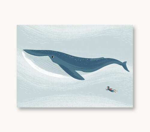 Postkarte Blauwal Meerestiere