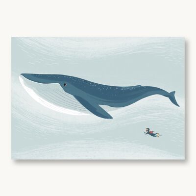 Postcard blue whale sea creatures