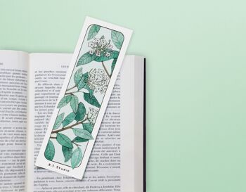 Compra Set di 3 segnalibri - Acquerello - Fiori & Natura - Accessori per  libri - Illustrazione colorata all'ingrosso
