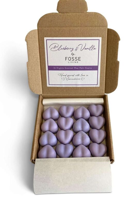 Blueberry & Vanilla Soy Wax Melts: Natural, Plastic-Free & Highly Scented 16 Pack