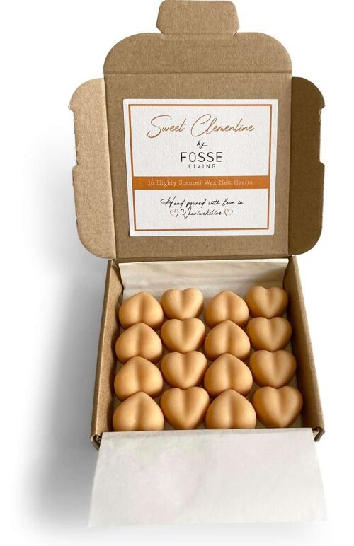 Sweet Clementine Soy Wax Melts: Natural, Plastic-Free & Highly Scented 16 Pack