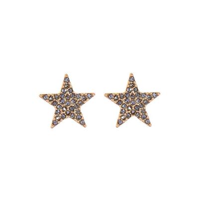 Gold Star Earring with Pewter Crystals