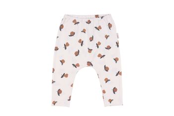 PANTALON FRUITS DU JARDIN BIO 56-62-0-4 mois