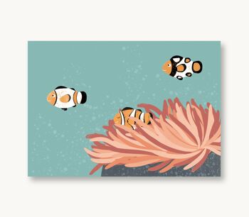 Carte postale créatures marines poissons-clowns