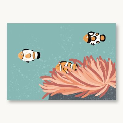 Postcard clownfish sea creatures