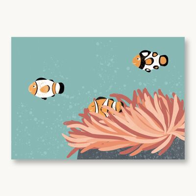 Criaturas marinas de pez payaso postal