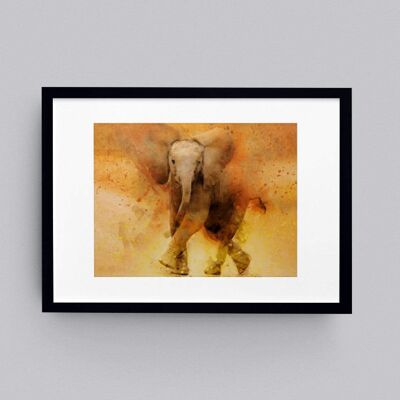 Elephant 'Stompy' Wall Art Framed Print