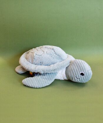 Ptipotos - Tortues (26x30x11 cm) - Menthe 2