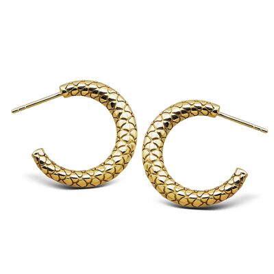 Jwls4u Earrings Snake G JE027G