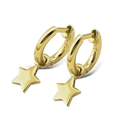 Jwls4u Oorbellen Earrings Star Goldplated JE011G