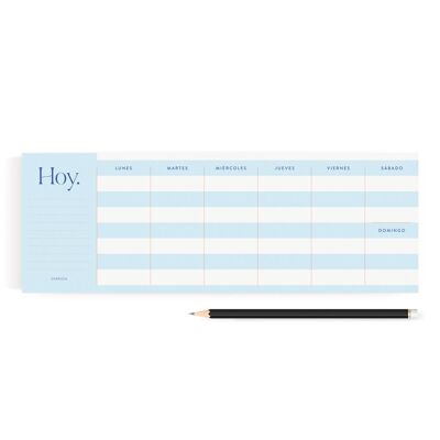Blue striped panoramic planner. Weekly